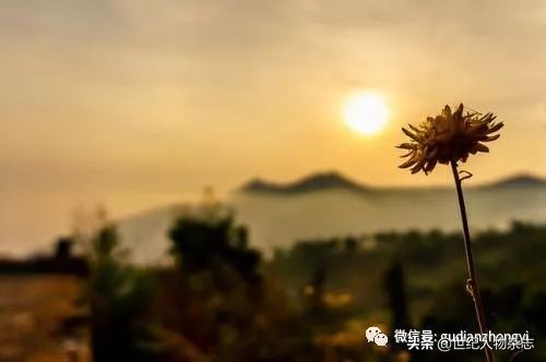 前半辈子拼命赚钱,前半生拼命挣钱后半生拼命挣命