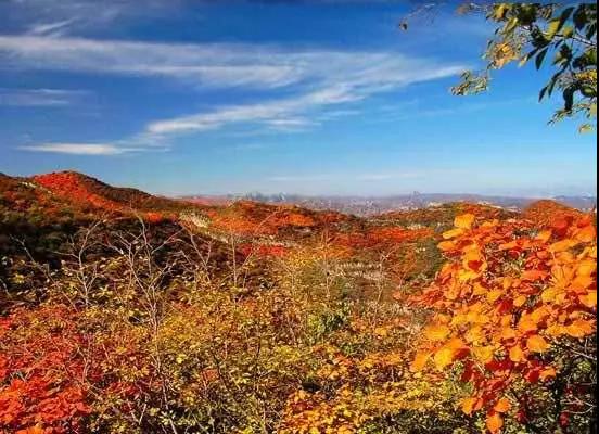 重阳节登高山,重阳节登高好去处