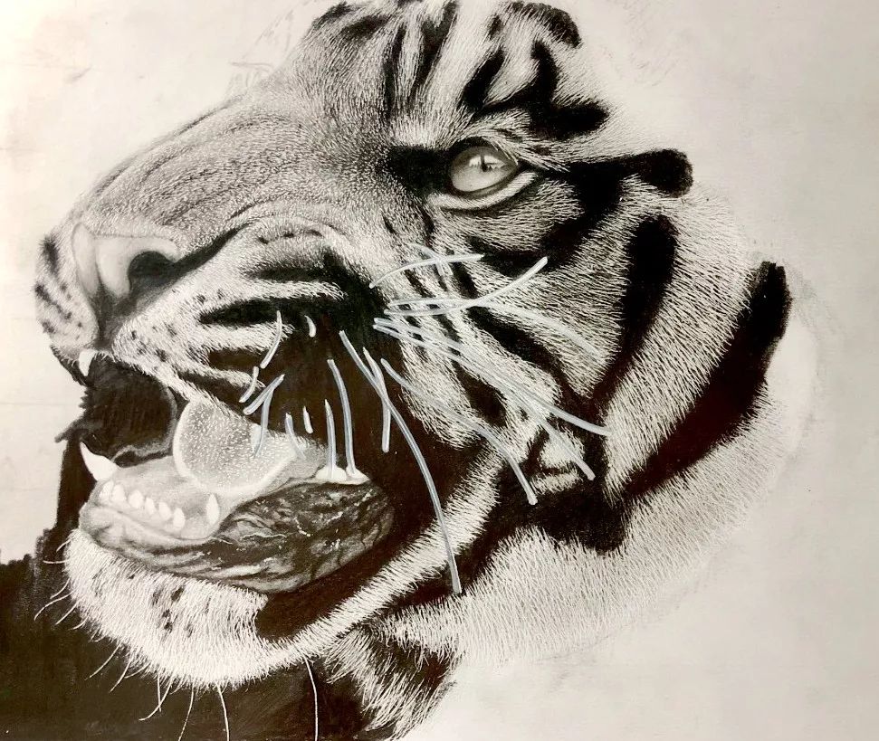 失明女孩铅笔画,保护视力守护心灵素描画