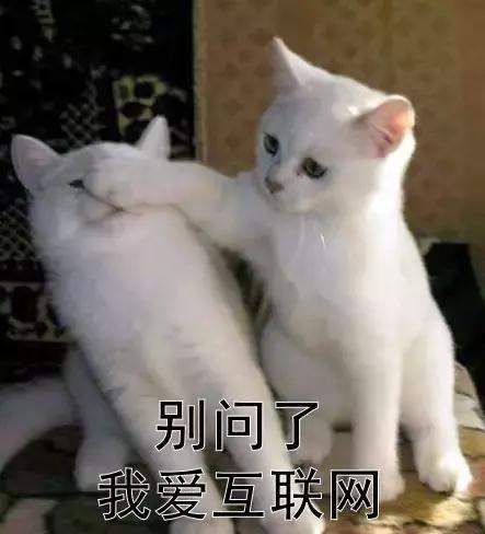 QQ、微信、蚂蚁花呗以及游戏账号，到底能不能被继承？