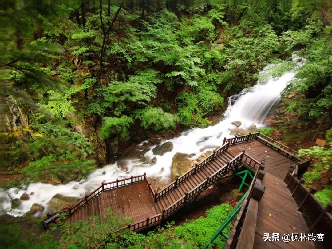 巴威台风本溪,台风巴威长白山