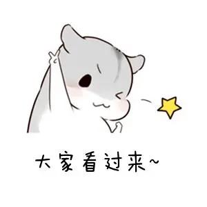 电子税务局官网登录入口,四川电子税务局登录入口