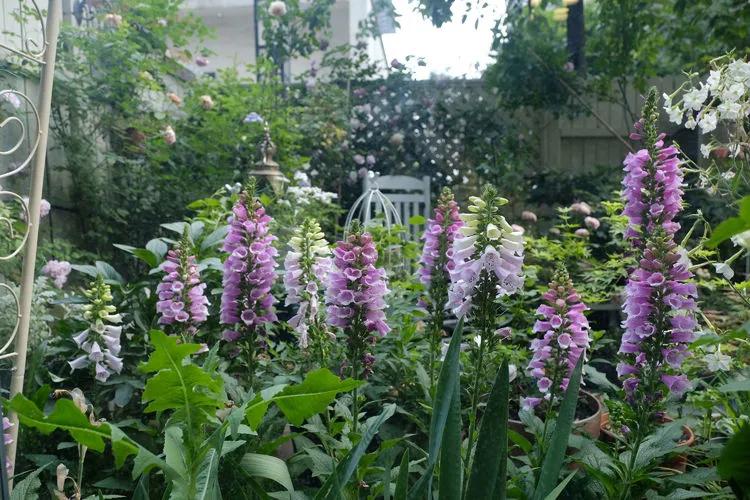 三年前买了套绿地110平三房130万,三年前耗资百万打造小院出售