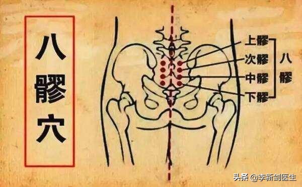 八髎穴是调节一身气血的总开关,五脏六腑的俞穴的功能