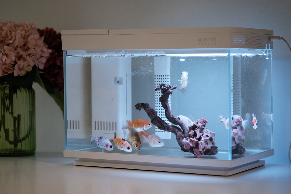 画法几何鱼缸造景,简易鱼缸几何画法