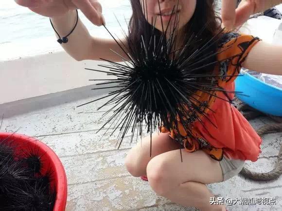 作为潮汕人，这89种海鲜你都能对上号吗