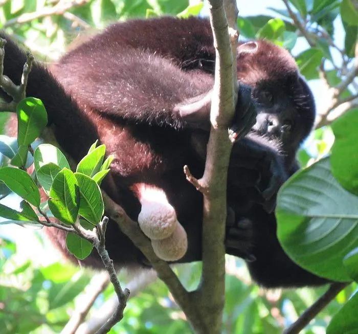 考清华北大其实很简单,有没有谁考清华北大很容易的