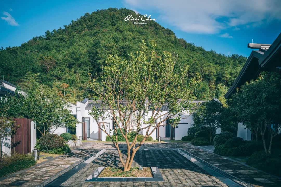 这是湖边度假酒店的性价比天花板！还有双11玩法剧透