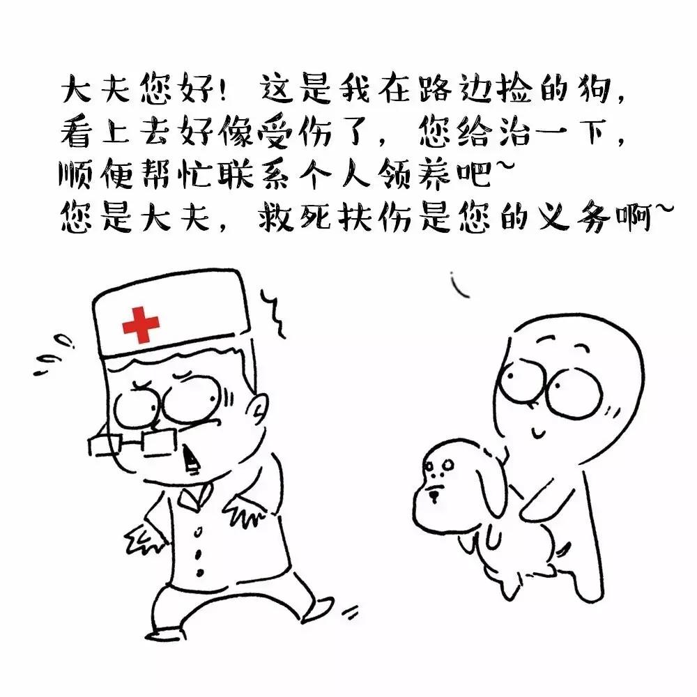 年轻人养宠物的困扰和问题,热爱养狗的是什么心态