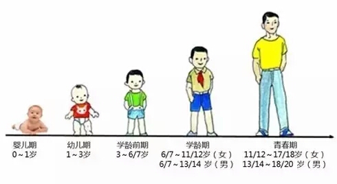 如何帮助孩子科学长高,如何科学有效帮助孩子长高