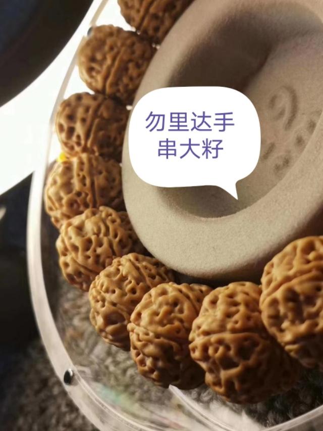 印尼金刚菩提是落地红吗,金刚菩提印尼跟尼泊尔