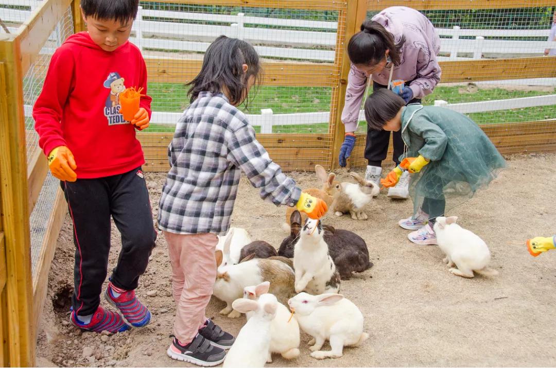不出宁波市的旅行,奉化夏日海边游玩攻略