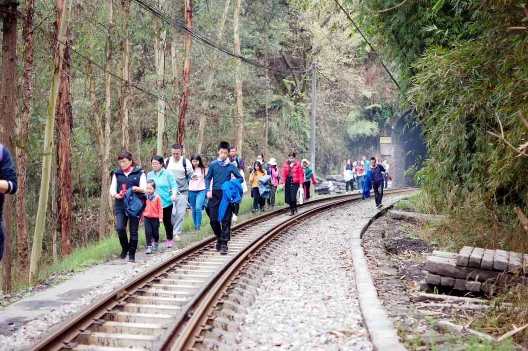 全世界唯一在运行的蒸汽小火车,经典窄轨蒸汽机车