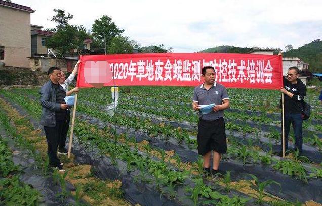 不想打工了在农村干什么可以致富,去农村打工可以做什么生意