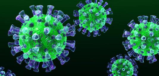 什么病毒是好病毒,现在最厉害的病毒是什么病毒