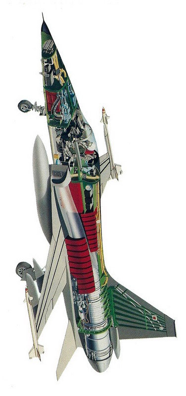 极富悲剧色彩的虎鲸,虎鲨悲剧