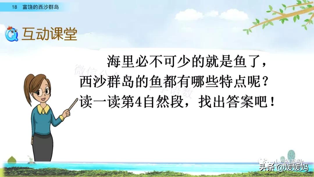 三年级第18课富饶的西沙群岛视频,三年级上册18富饶的西沙群岛笔记