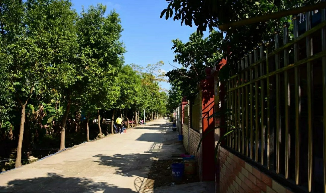 龙门县永汉镇上埔村,永汉镇星墩埔新村存在多少年