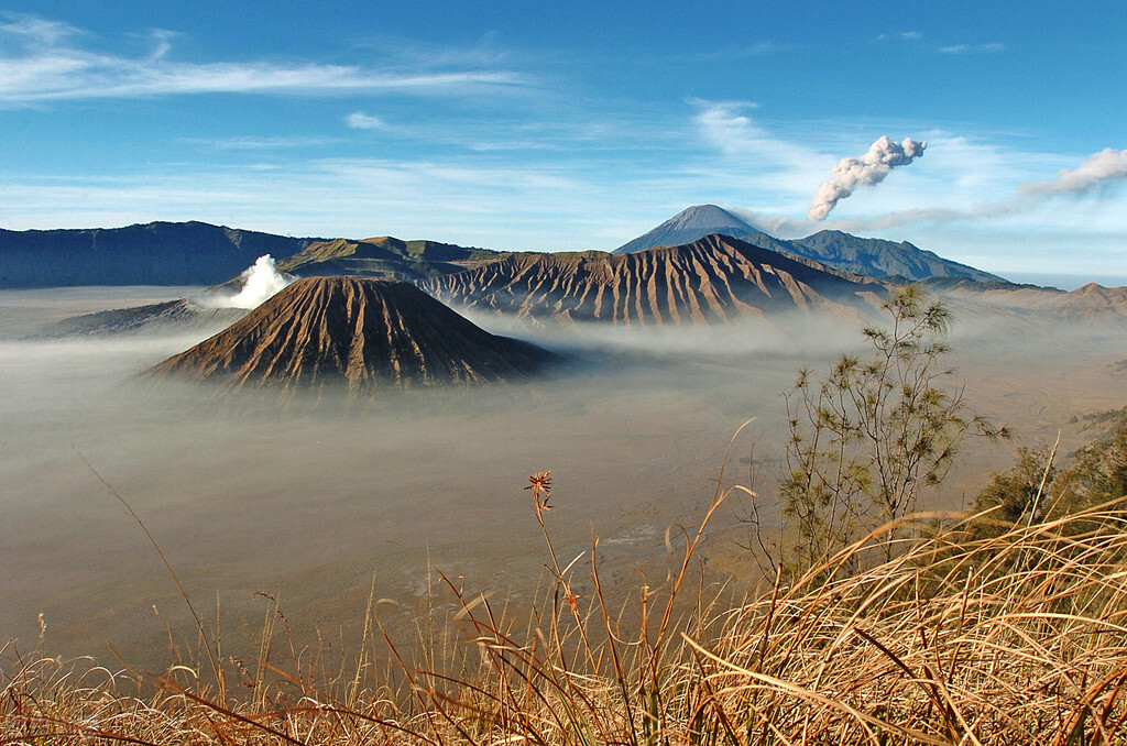 拉丁美洲面积最大人口最多的国家,世界人口最多国家是印度还是中国