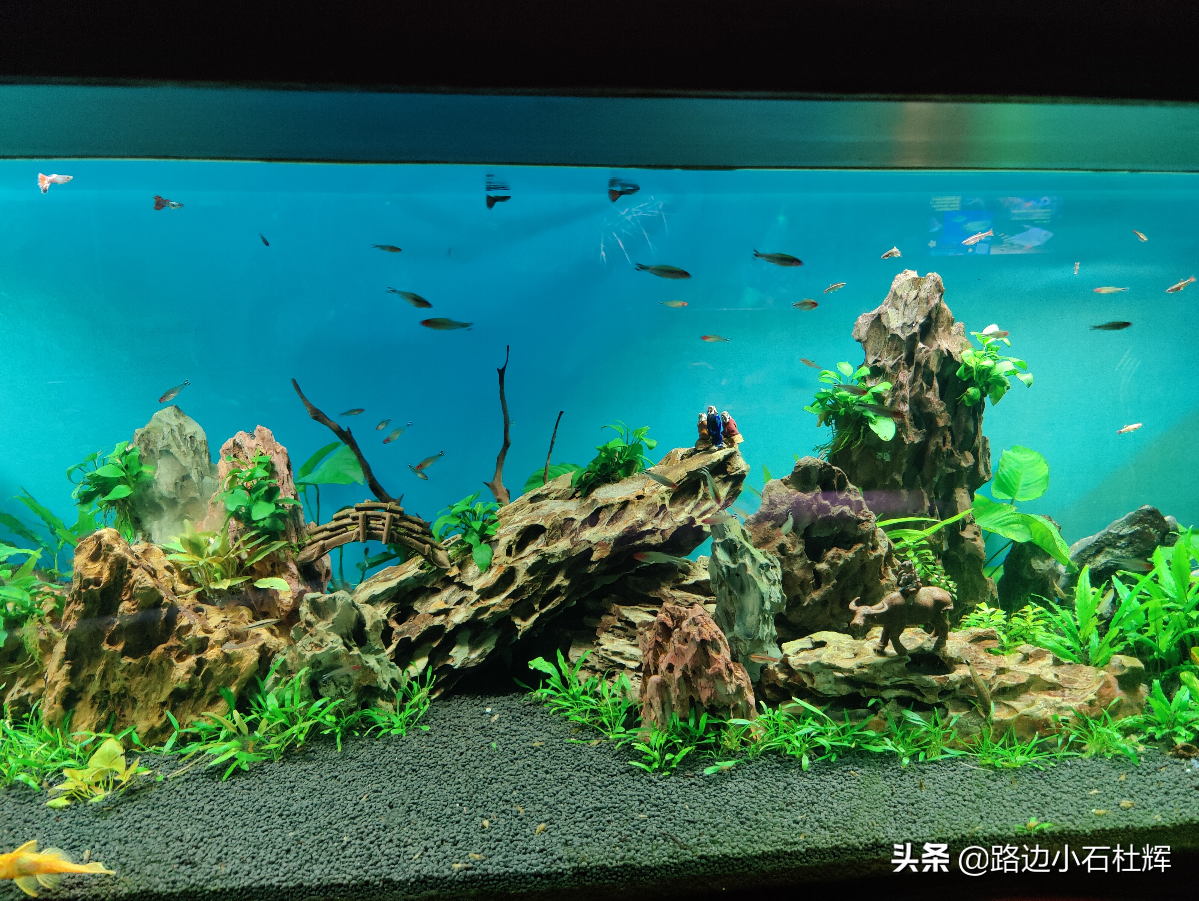 北京海洋馆海底世界游玩攻略,海洋馆北京海底世界游玩路线