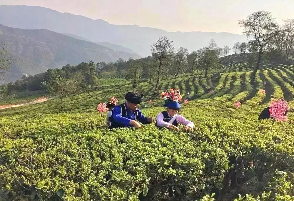 大理网红地方有哪些,云南大理网红景点洱海