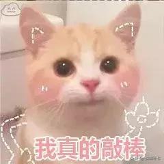 这些口红颜色简直是黄皮救星,最不挑人13款绝美口红