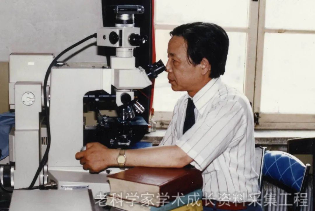 陈洪铎院士坐诊哪个医院,陈洪铎院士精神品质