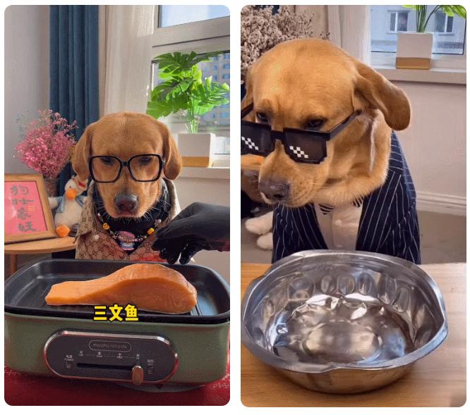 如何有效的掌握抖音流量密码,利用抖音新功能获取流量上热门