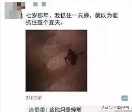 当代年轻人的虚假朋友圈,打脸来的猝不及防,笑到窒息,哈哈哈