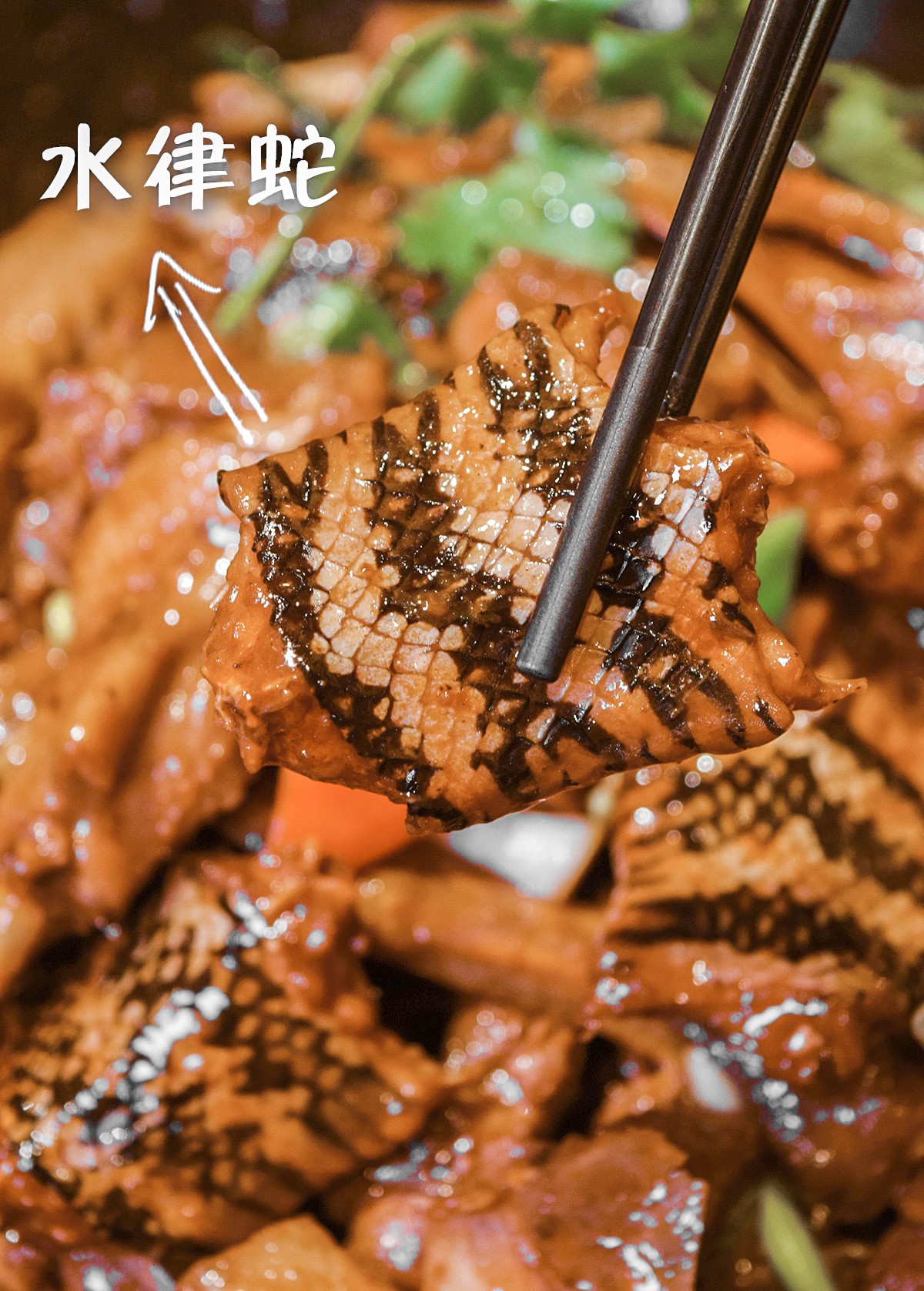 南海这间食鹅神店！14年来凭借一只鹅，从黄岐火到桂城！