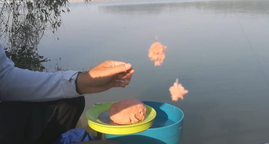 如何钓鲮鱼教你一招,钓鲮鱼饵料怎么搭配