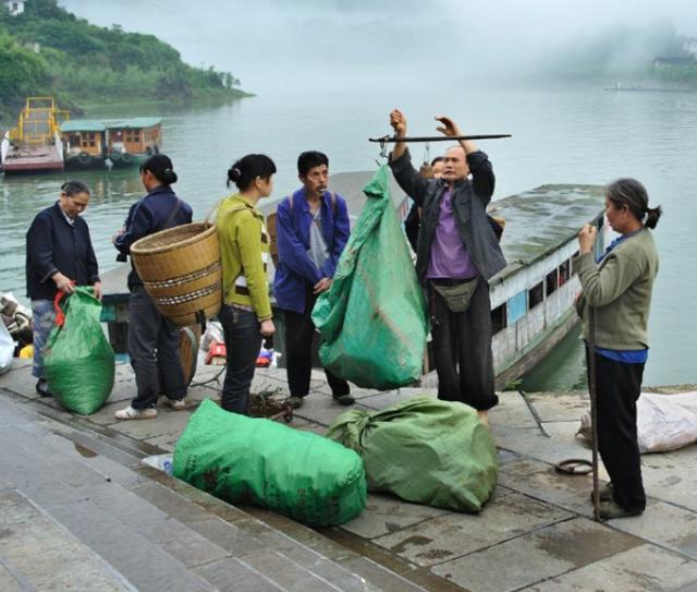 五一不出门一样也能有田园风光,农民不想外出打工可以在家做什么