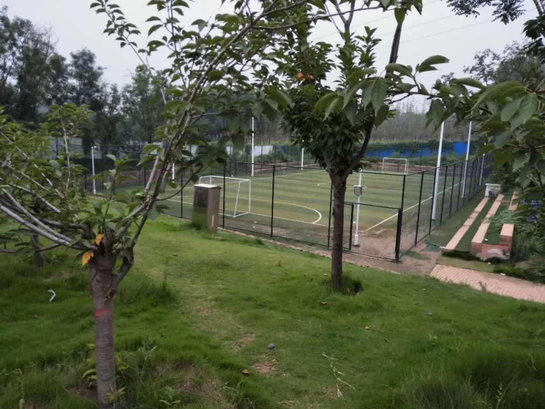 建业组织建业足球小镇一日游,建业足球小镇附近玩的地方