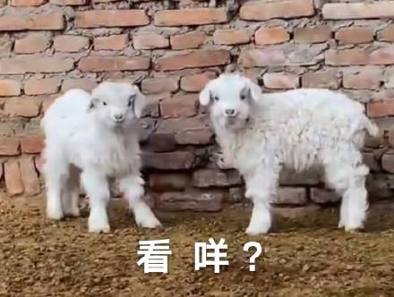 都美竹发文事件,都美竹再次发文