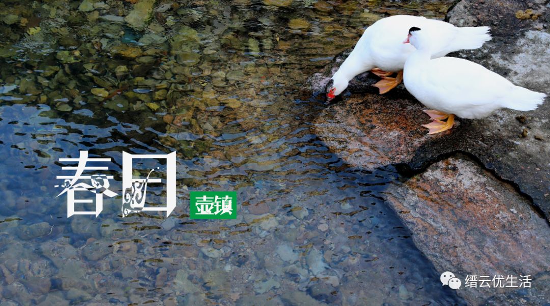 今日立春依旧寒冷入骨,今日立春期待美好图片