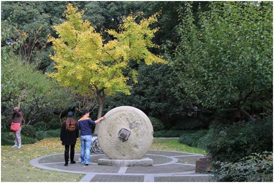 上海银杏叶打卡的地方,上海周边哪里有银杏叶