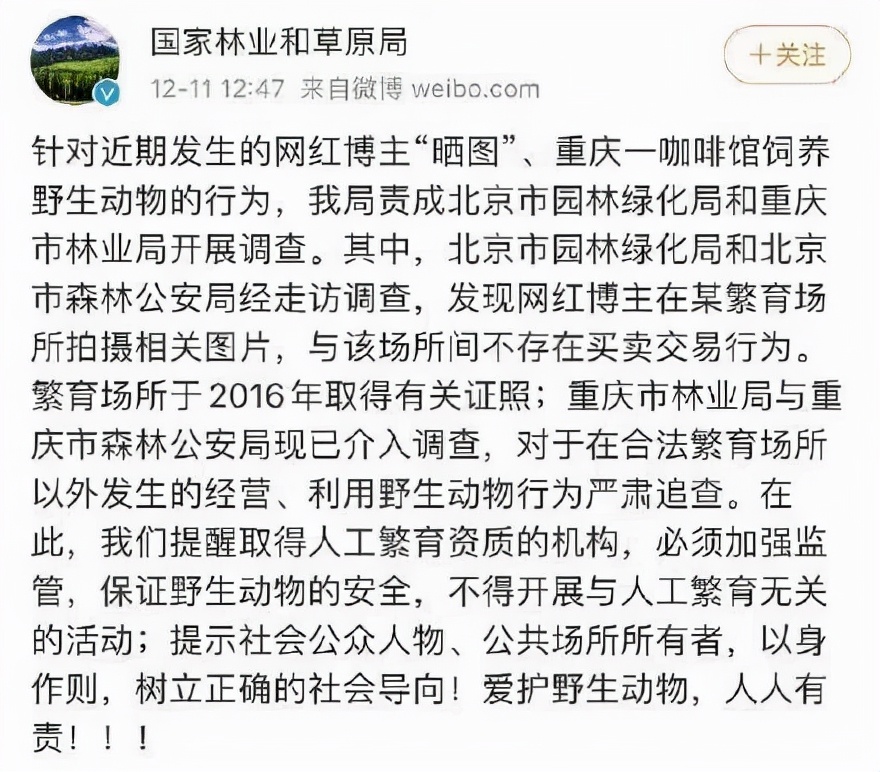 邓文迪晚晚到底是谁,网红界邓文迪