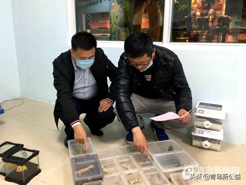 给动物园捐赠动物可以吗,给动物园捐动物有没有奖励