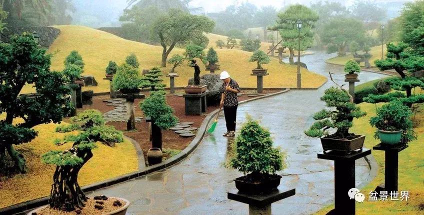 走进韩国思索之苑，这里算得上世界最美的庭园吗