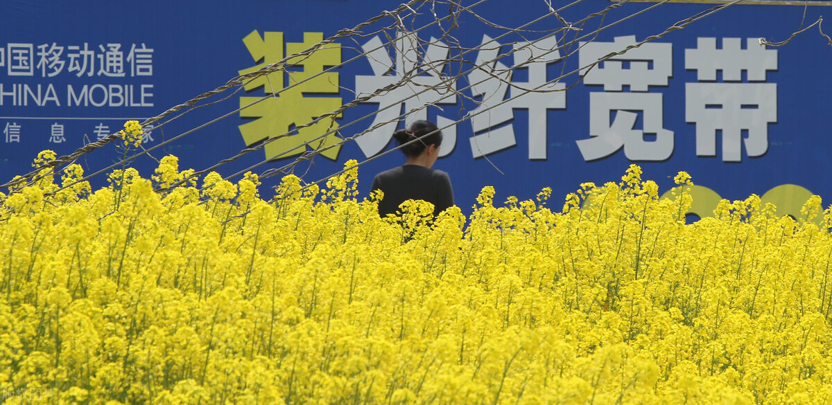 广电宽带晚上网速慢,移动千兆宽带晚上网速慢