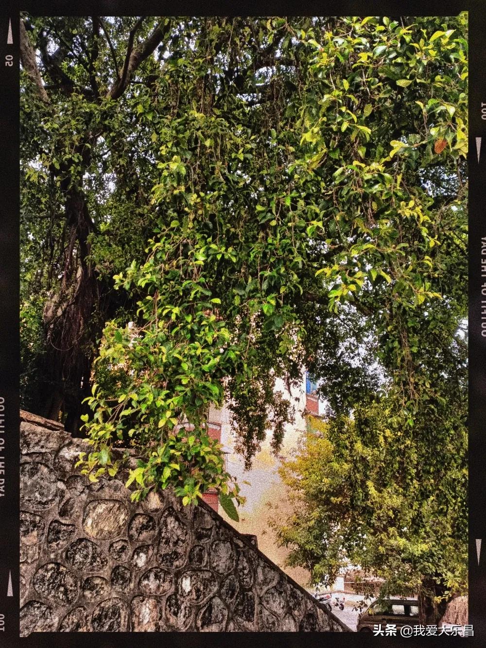 乐昌市棉纺厂历史,乐昌市最老的纺织厂