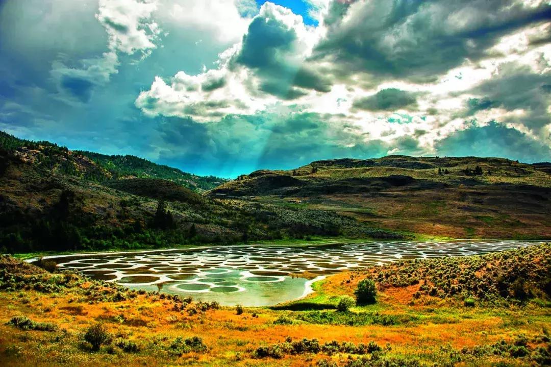 听说过斑马、斑点狗,你听说过斑点湖吗?