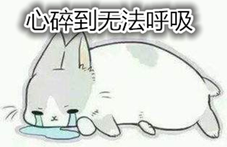 王者荣耀网恋小伙,王者荣耀网恋对象竟然是男的