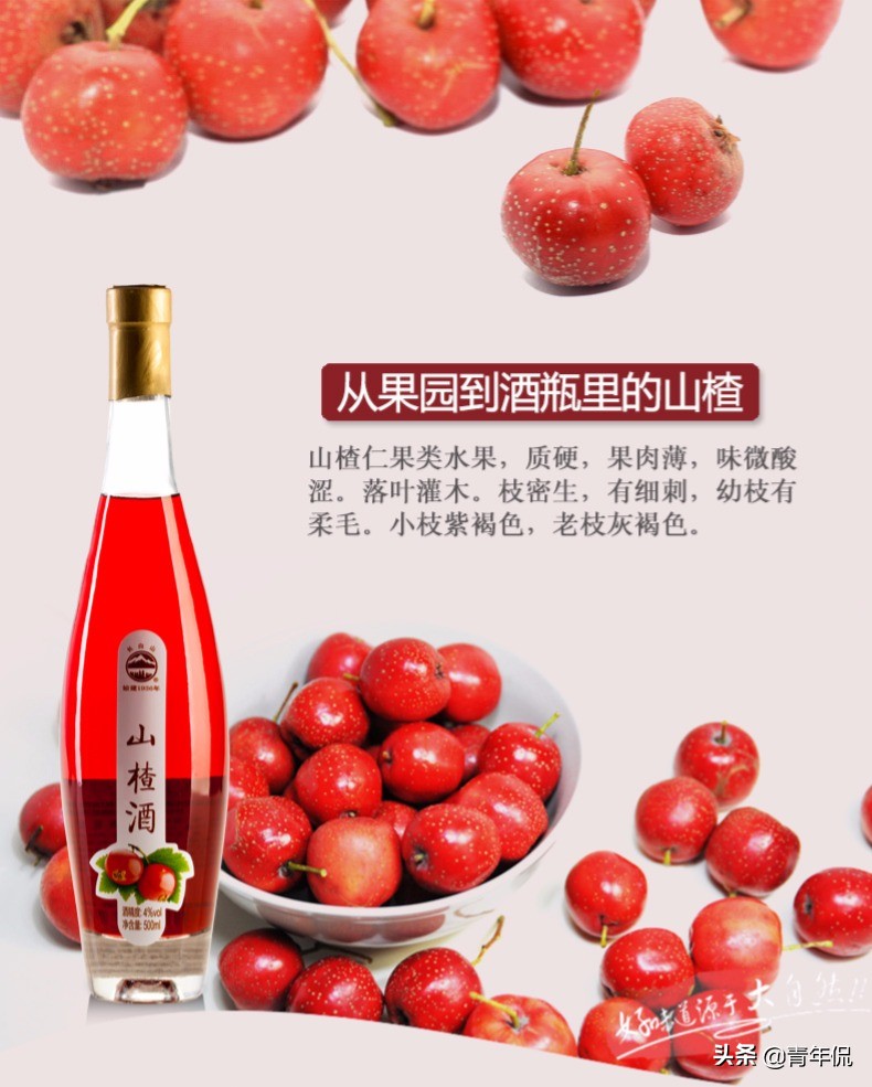 年轻人喜欢的果酒,年轻人为什么喜欢饮料