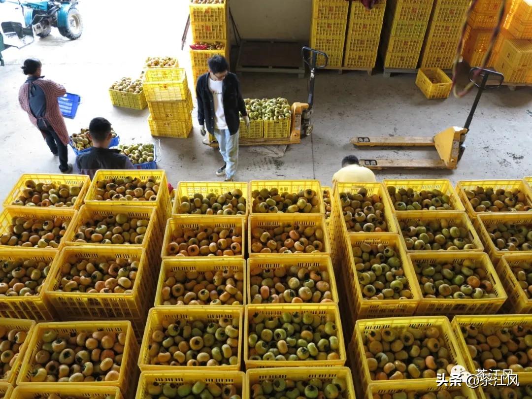 贫困县扶上马送一程,扶上马送一程确保脱贫经得起检验