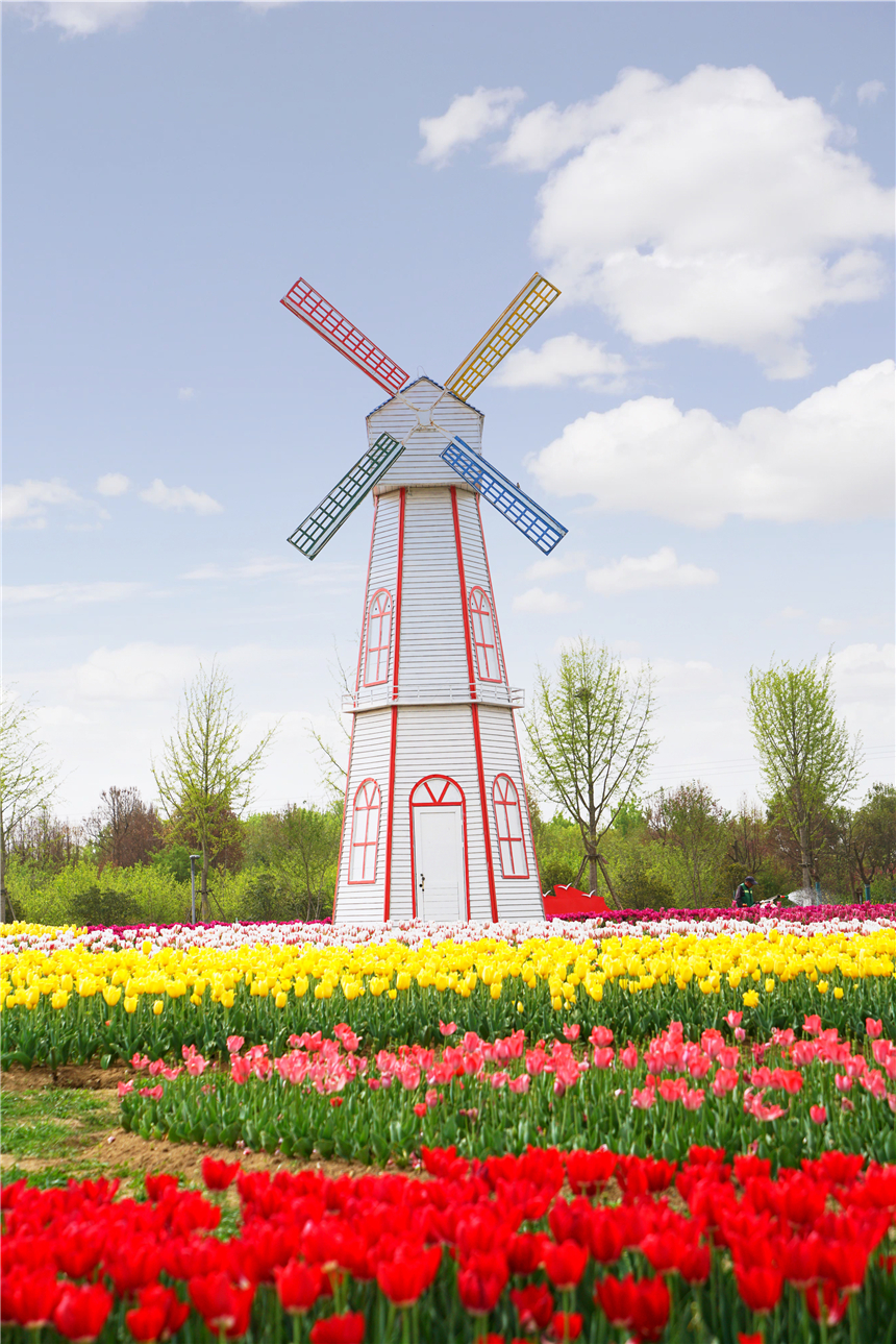 我和宿州有个约会，一场花事，一次慢旅行，探寻最烟火的宿州味道