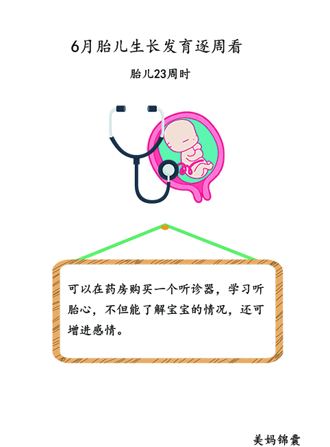 胎儿21周至23周的变化,胎儿21天的样子