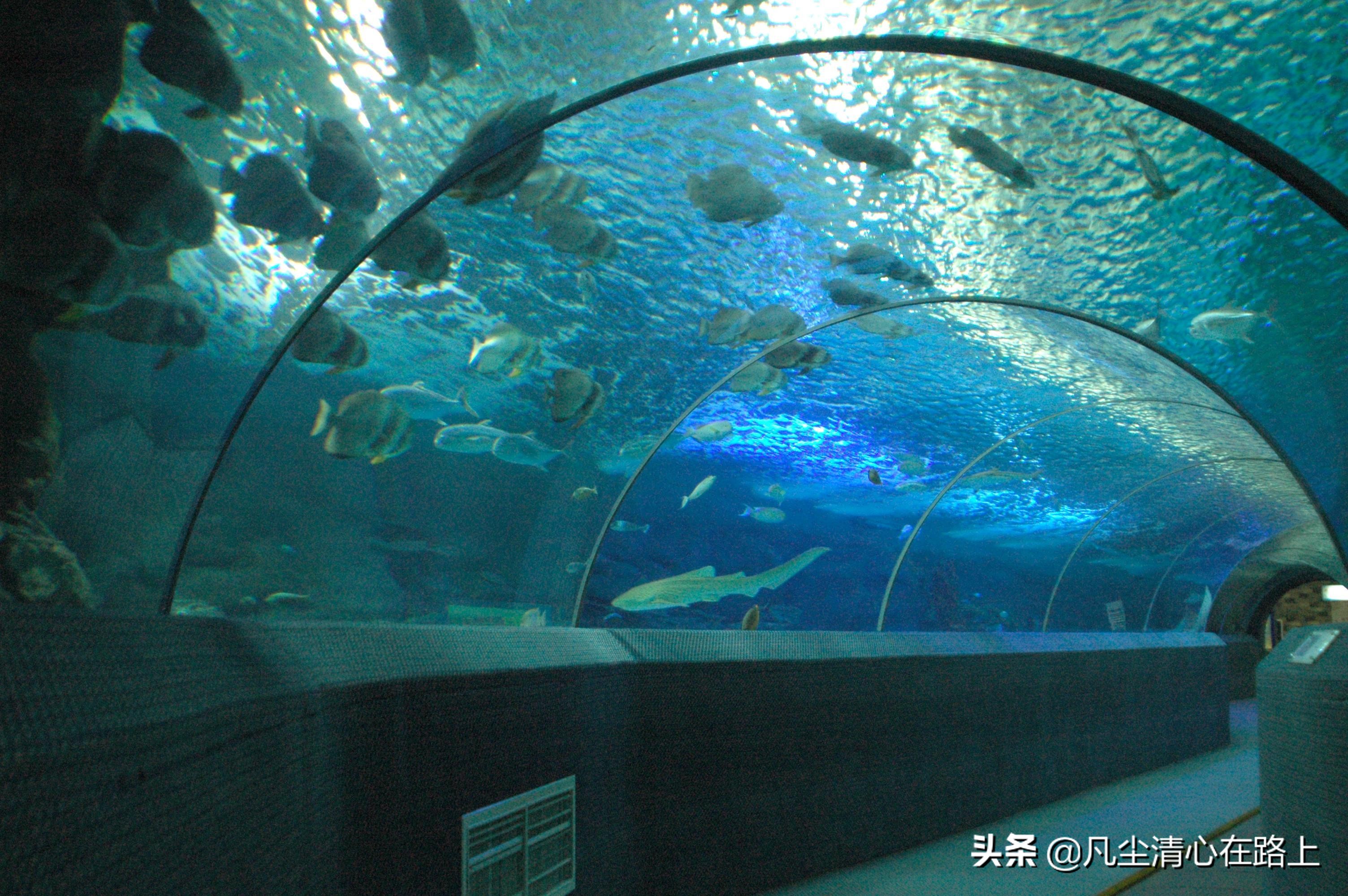 长沙南郊公园火车头公园,长沙最大公园叫什么公园