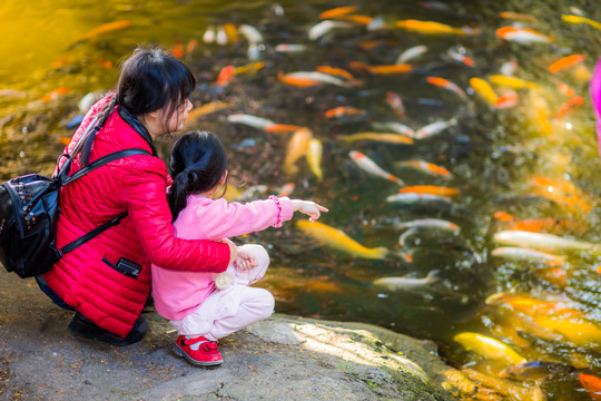 斯坦福教授怎么做让孩子更聪明,斯坦福教授讲述孩子成长