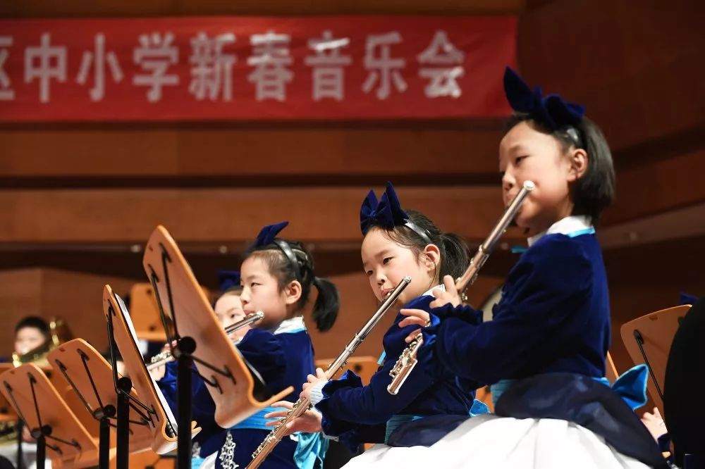 静心聆听一朵花开的声音,聆听花开的声音晚会